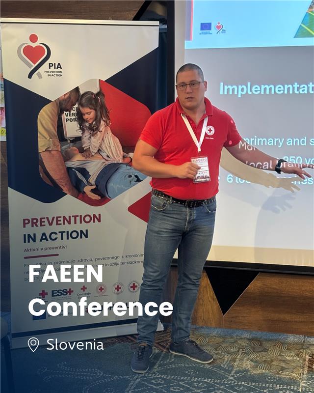 PIA Project presented at FAEEN Conference 2025